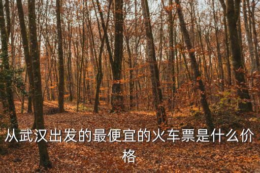 從武漢出發的最便宜的火車票是什么價格