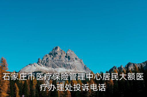 醫療投訴電話，石家莊市醫療保險管理中心居民大額醫療辦理處投訴電話