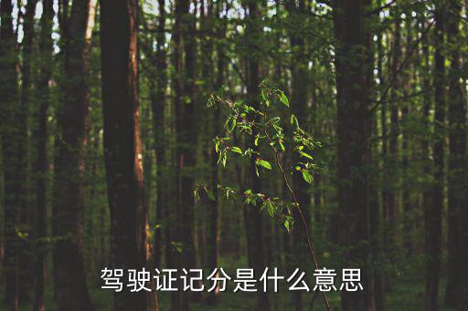 駕駛證記分，駕駛證扣分怎么處理