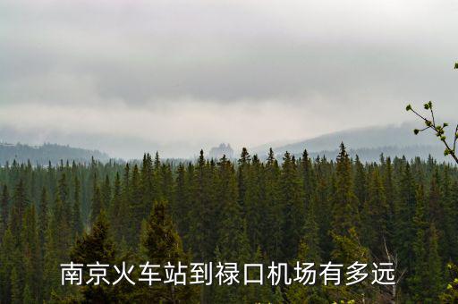 南京站到祿口機場，南京南站到祿口機場有多遠