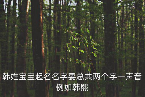 韓征，韓姓寶寶起名名字要總共兩個字一聲音例如韓熙