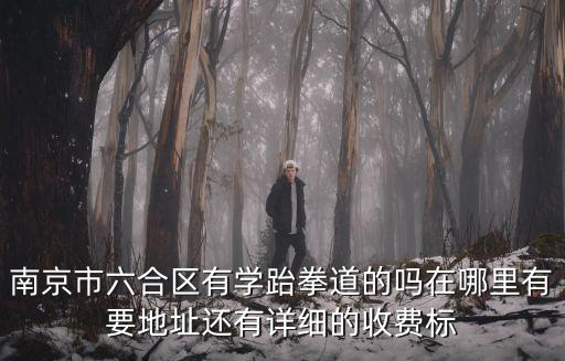 南京市六合區有學跆拳道的嗎在哪里有要地址還有詳細的收費標