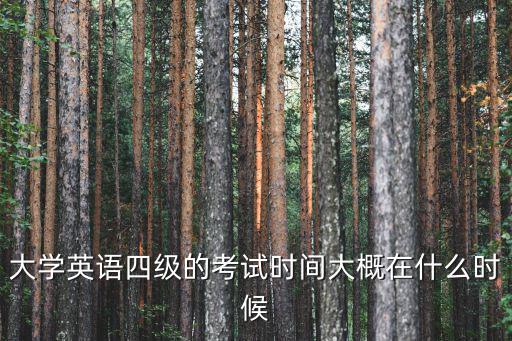 大學英語四級的考試時間大概在什么時候