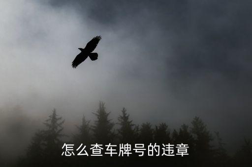 怎么查車牌號的違章