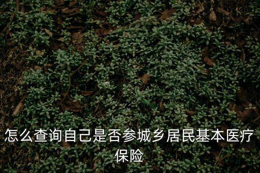怎么查詢自己是否參城鄉居民基本醫療保險