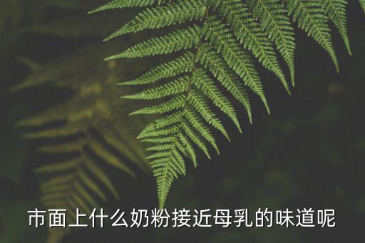 什么奶粉最接近母乳，市面上什么奶粉接近母乳的味道呢