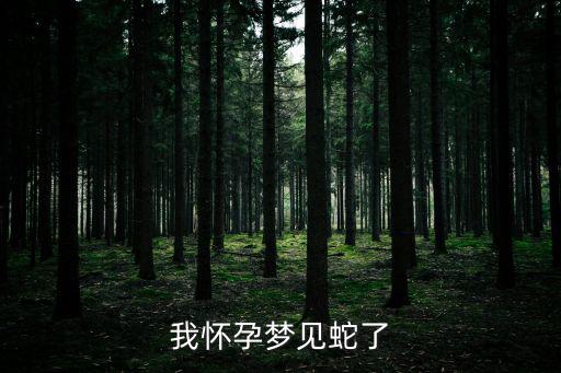 我懷孕夢見蛇了