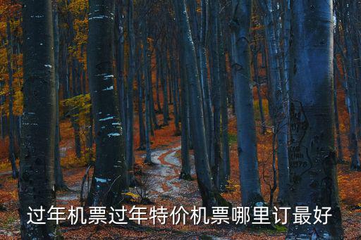 過(guò)年機(jī)票過(guò)年特價(jià)機(jī)票哪里訂最好