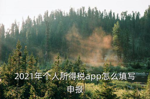 2021年個人所得稅app怎么填寫申報