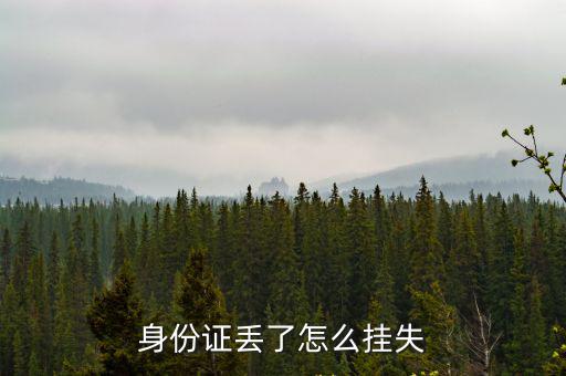 身份證丟失如何掛失，身份證丟了怎么掛失