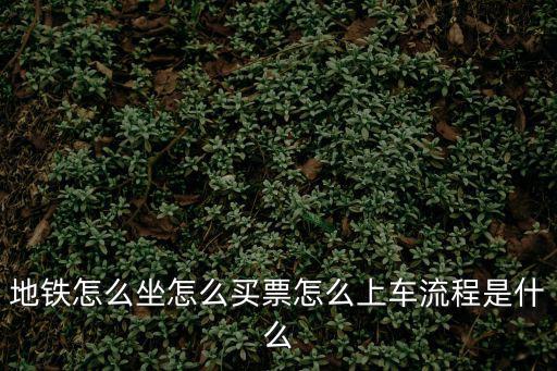 地鐵怎么坐怎么買票，地鐵怎么坐 怎么買票啊