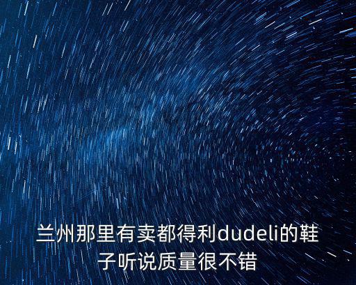 蘭州那里有賣都得利dudeli的鞋子聽說質量很不錯