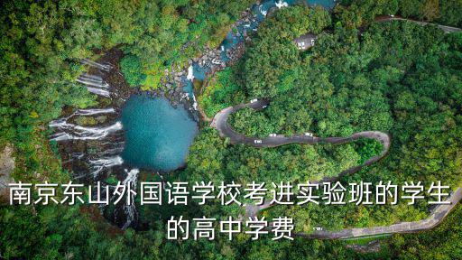 南京東山外國語學校，南京東山外國語學校新校址