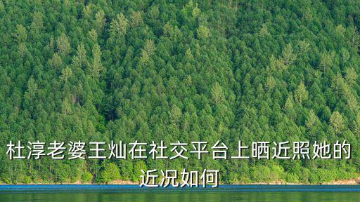 杜淳老婆王燦在社交平臺上曬近照她的近況如何