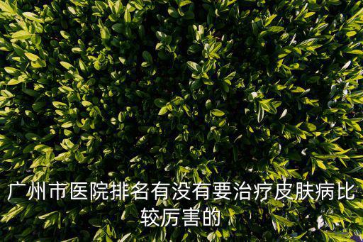 廣州市醫院排名有沒有要治療皮膚病比較厲害的