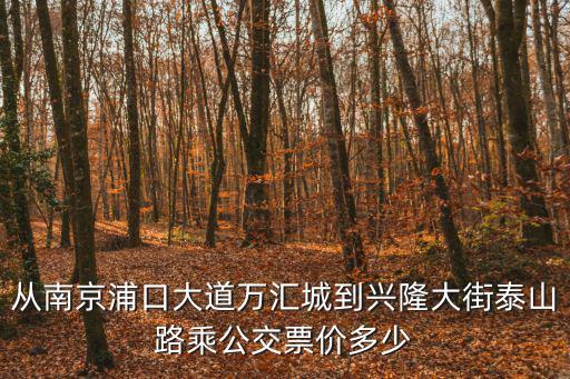 浦口萬匯城，從南京浦口大道萬匯城到興隆大街泰山路乘公交票價多少