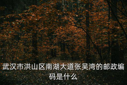 麗島漫城，從武昌汪家墩直達光谷麗島漫城小區(qū)的公交車有哪些