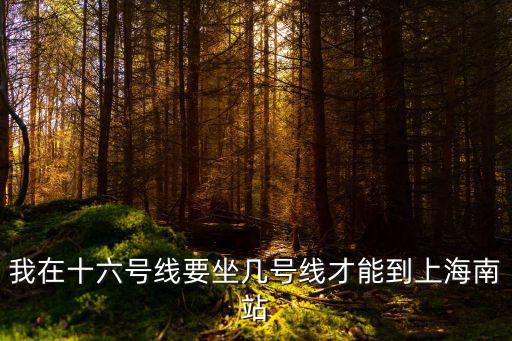 我在十六號線要坐幾號線才能到上海南站