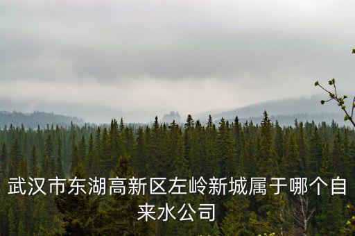 武漢自來水公司，武漢市自來水公司