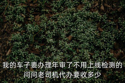 我的車子要辦理年審了不用上線檢測的問問老司機代辦要收多少