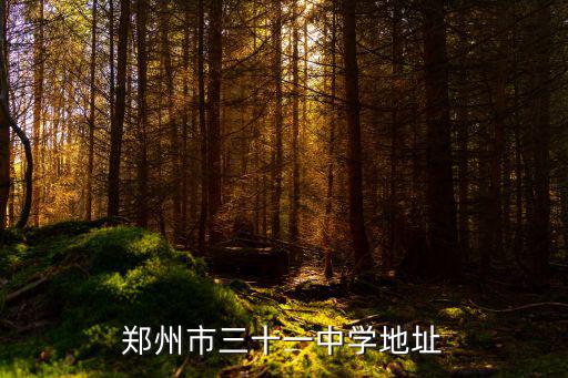 鄭州市三十一中學(xué)地址