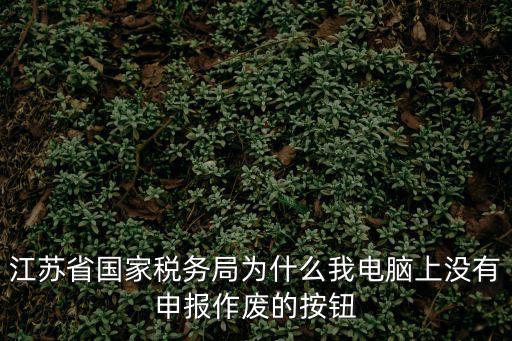 江蘇省國家稅務(wù)局為什么我電腦上沒有申報作廢的按鈕