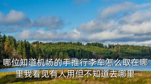 行李手推車，哪位知道機(jī)場的手推行李車怎么取在哪里我看見有人用但不知道去哪里