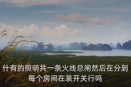 什有的照明共一條火線總閘然后在分到每個房間在裝開關行嗎