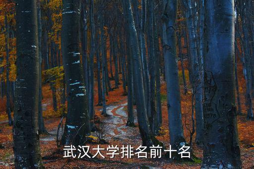 武漢大學排名前十名