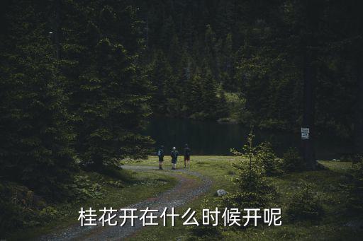 桂花開在什么時候開呢