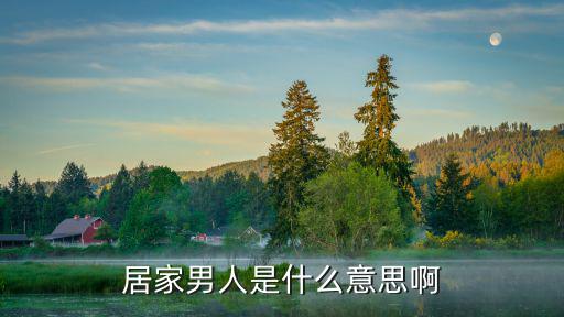 居家男人是什么意思啊