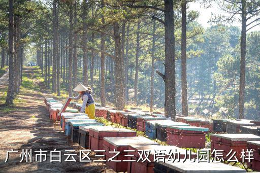 三之三幼兒園，鄒平縣三之三幼兒園怎么樣