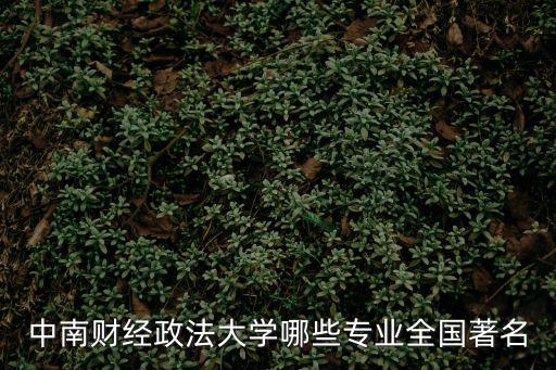 中南財經政法大學哪些專業全國著名