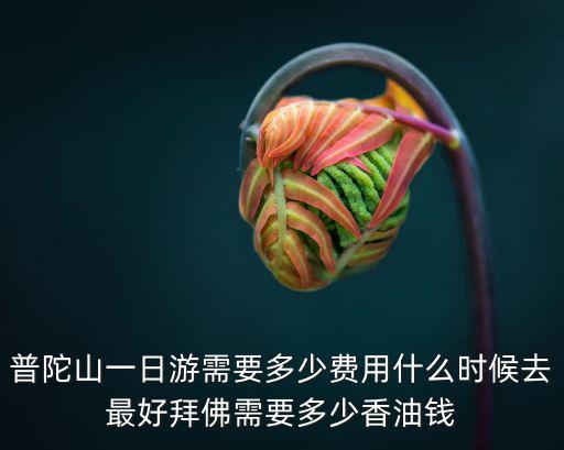 普陀山一日游需要多少費用什么時候去最好拜佛需要多少香油錢