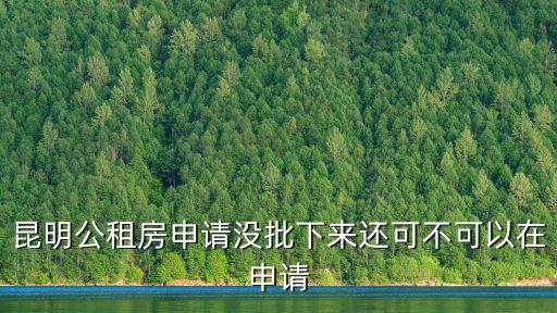 昆明公租房申請沒批下來還可不可以在申請