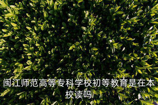 閩江師范高等?？茖W校初等教育是在本校讀嗎