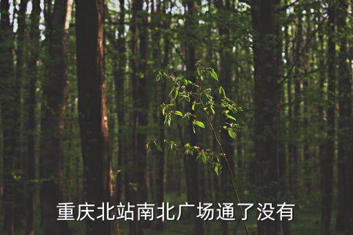 南北廣場，重慶北站南北廣場通了沒有