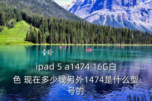 ipad 5 a1474 16G白色 現在多少錢另外1474是什么型號的