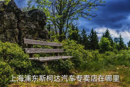 上海斯柯達，上海浦東斯柯達汽車專賣店在哪里