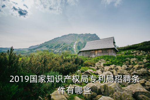 國家知識產權局招聘，2019國家知識產權局專利局招聘多少人