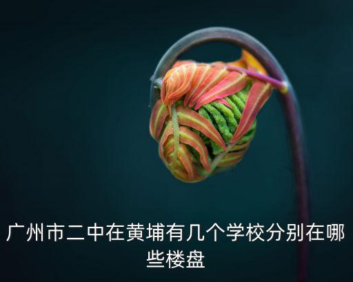 廣州市二中在黃埔有幾個學校分別在哪些樓盤
