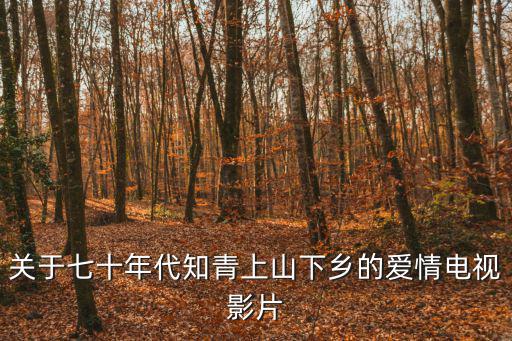 關于七十年代知青上山下鄉的愛情電視影片