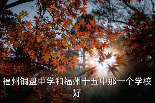 福州十五中，福州市十五中2013年的現任校長是誰書記是誰