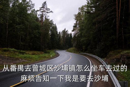 從番禺去曾城區沙埔鎮怎么坐車去過的麻煩告知一下我是要去沙埔