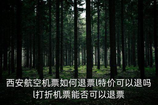 西安航空機(jī)票如何退票l特價(jià)可以退嗎l打折機(jī)票能否可以退票