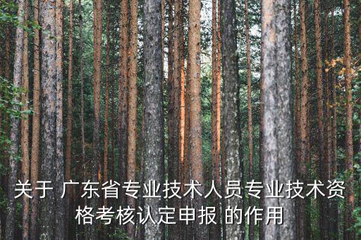 關于 廣東省專業技術人員專業技術資格考核認定申報 的作用