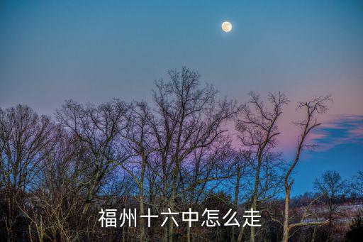 福州十六中怎么走