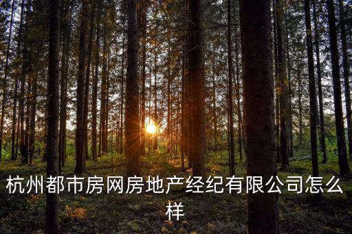 杭州都市房網房地產經紀有限公司怎么樣