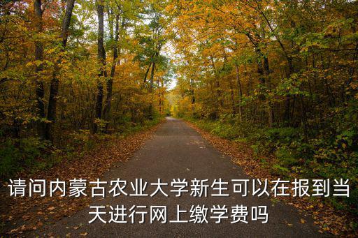 請問內蒙古農業大學新生可以在報到當天進行網上繳學費嗎