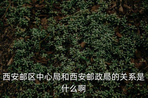 中心局，郵件離開長(zhǎng)沙市已發(fā)往長(zhǎng)沙郵局中心局是什么意思啊可我的收貨地址